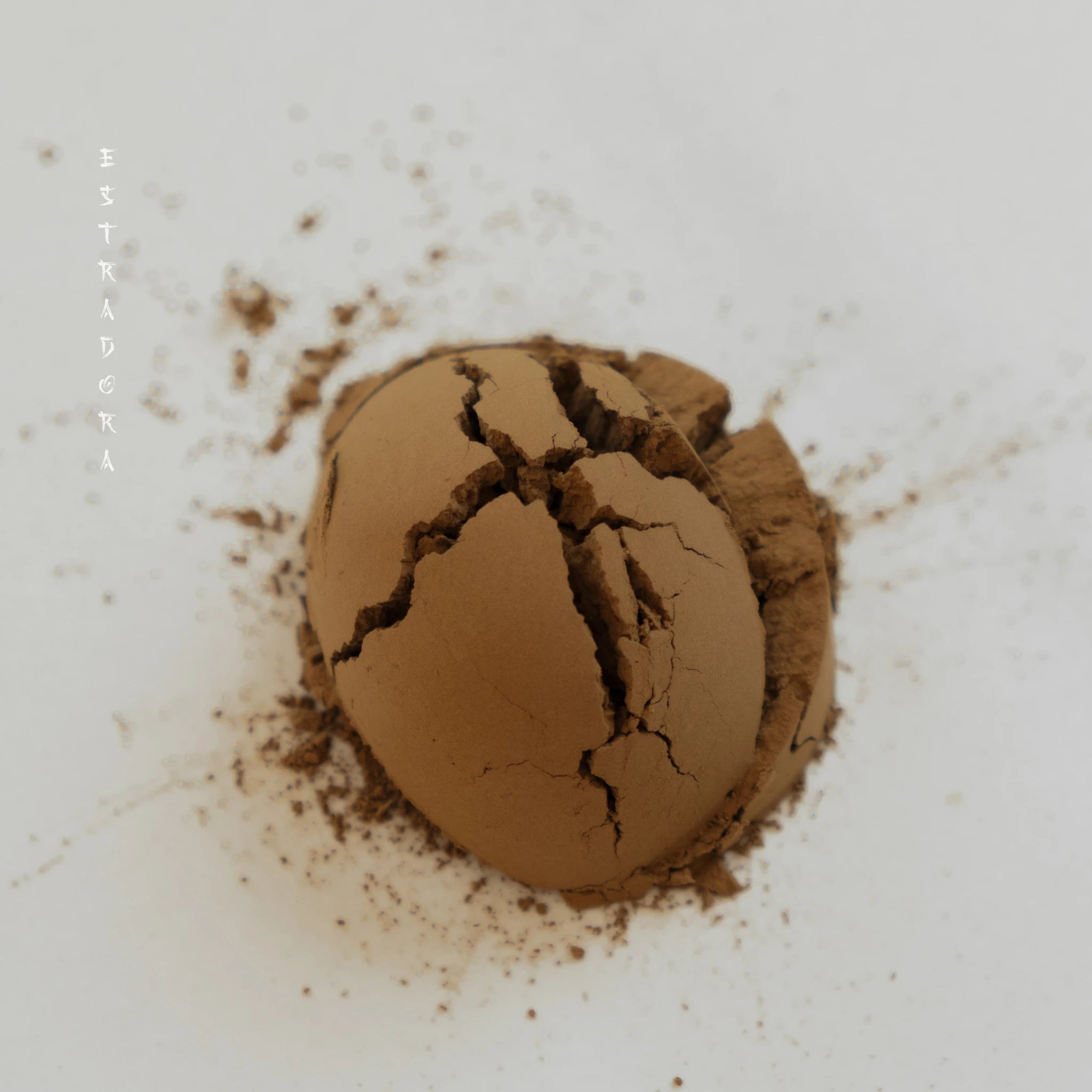 Hojicha tea powder detail close-up — Estradora roasted green tea