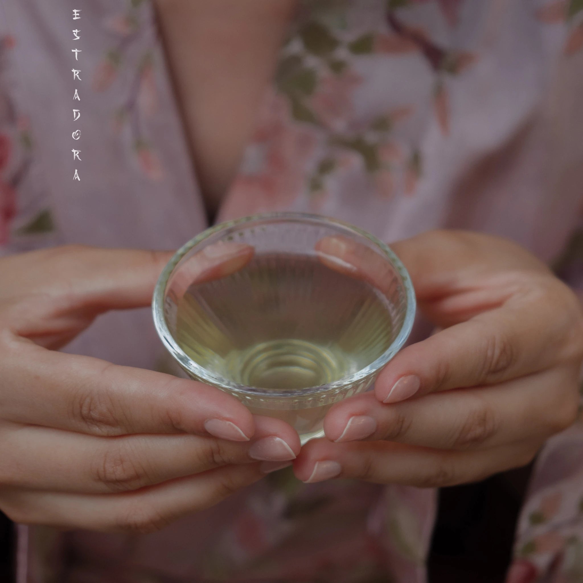 Hands holding glass teacup with brewed Japanese Kukicha green tea - Estradora