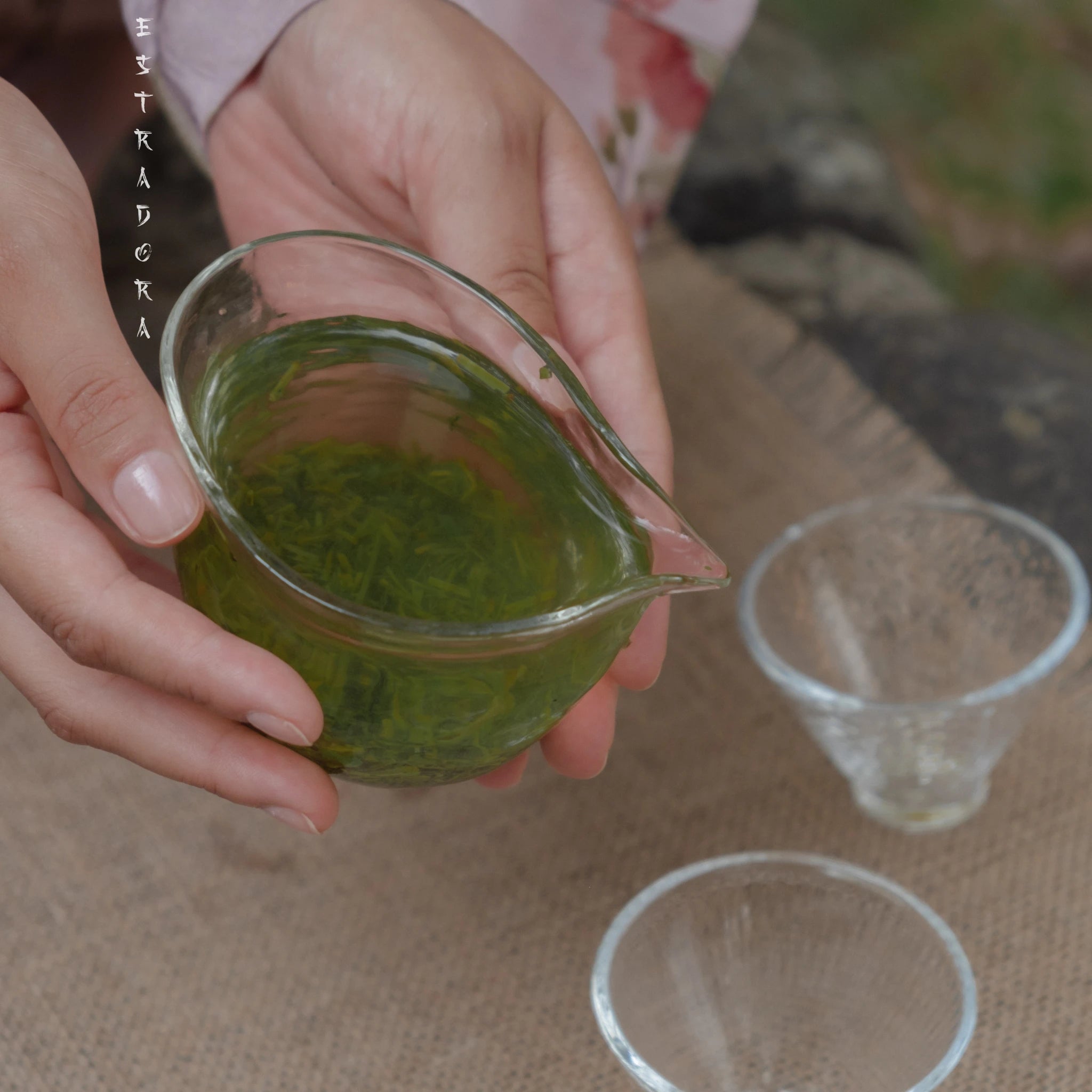 Pouring freshly brewed Japanese Kukicha tea from glass pot into teacups - Estradora