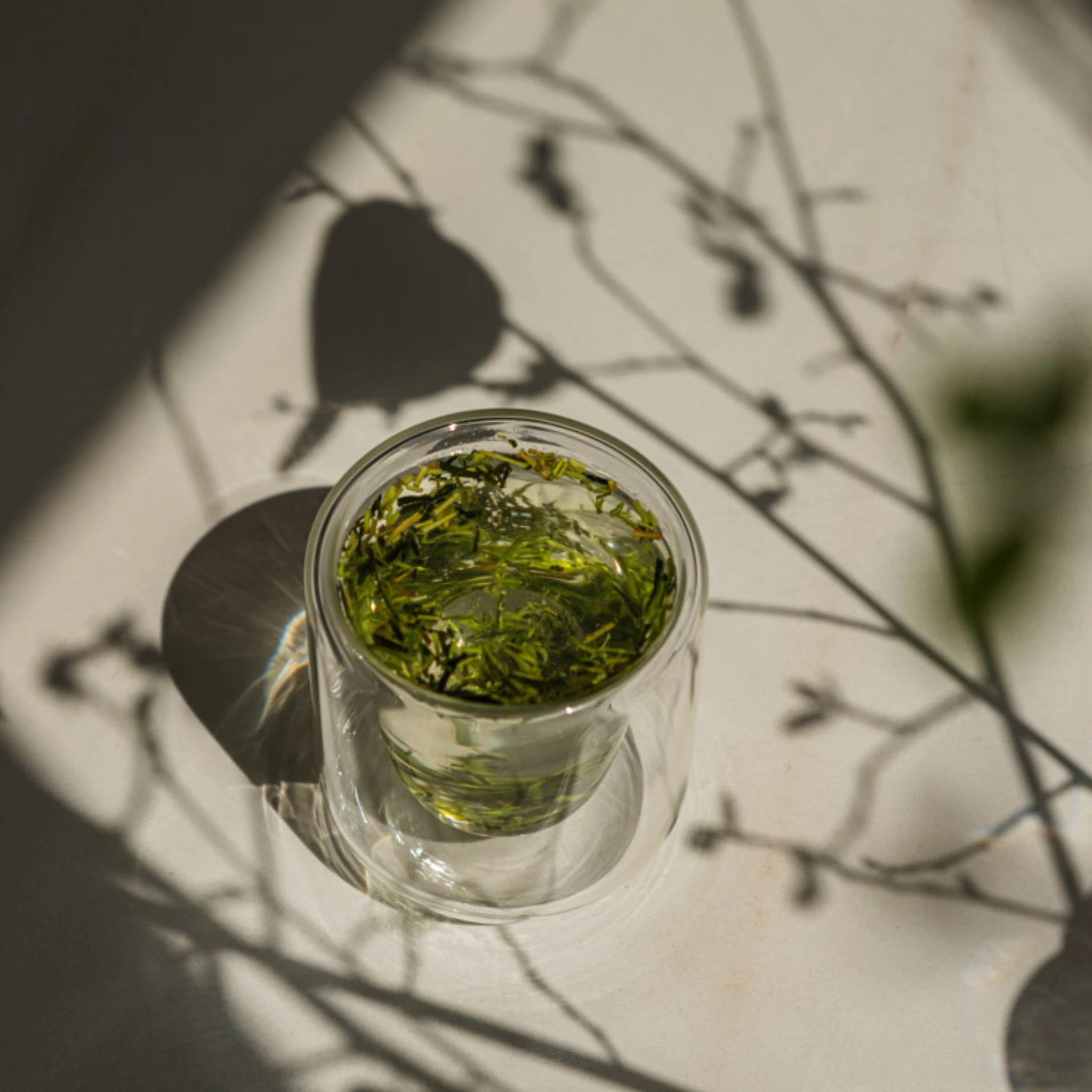 Brewed Japanese Kukicha tea, sunlight and shadow play - Estradora