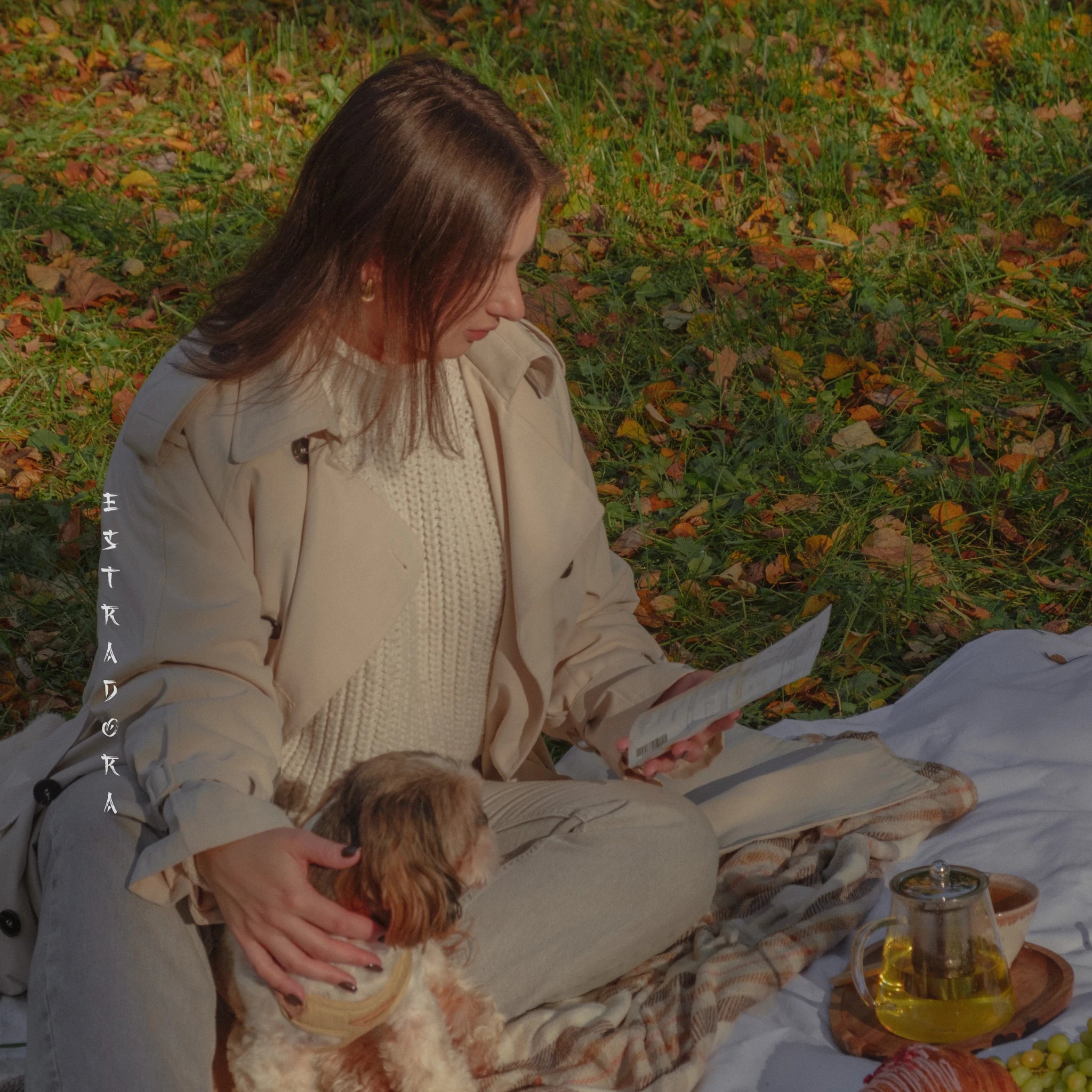 Woman enjoying autumn picnic with dog – reading while Sobacha roasted buckwheat tea is served in glass teapot and cup outdoors