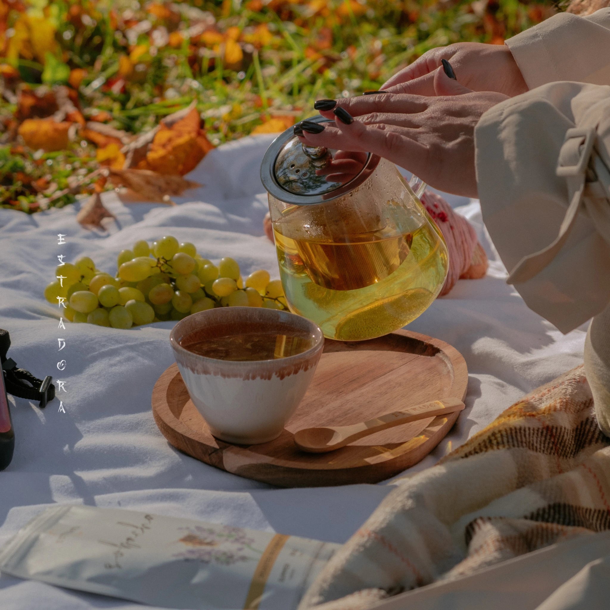 Sobacha roasted buckwheat tea served outdoors – glass teapot and cup on picnic blanket with grapes