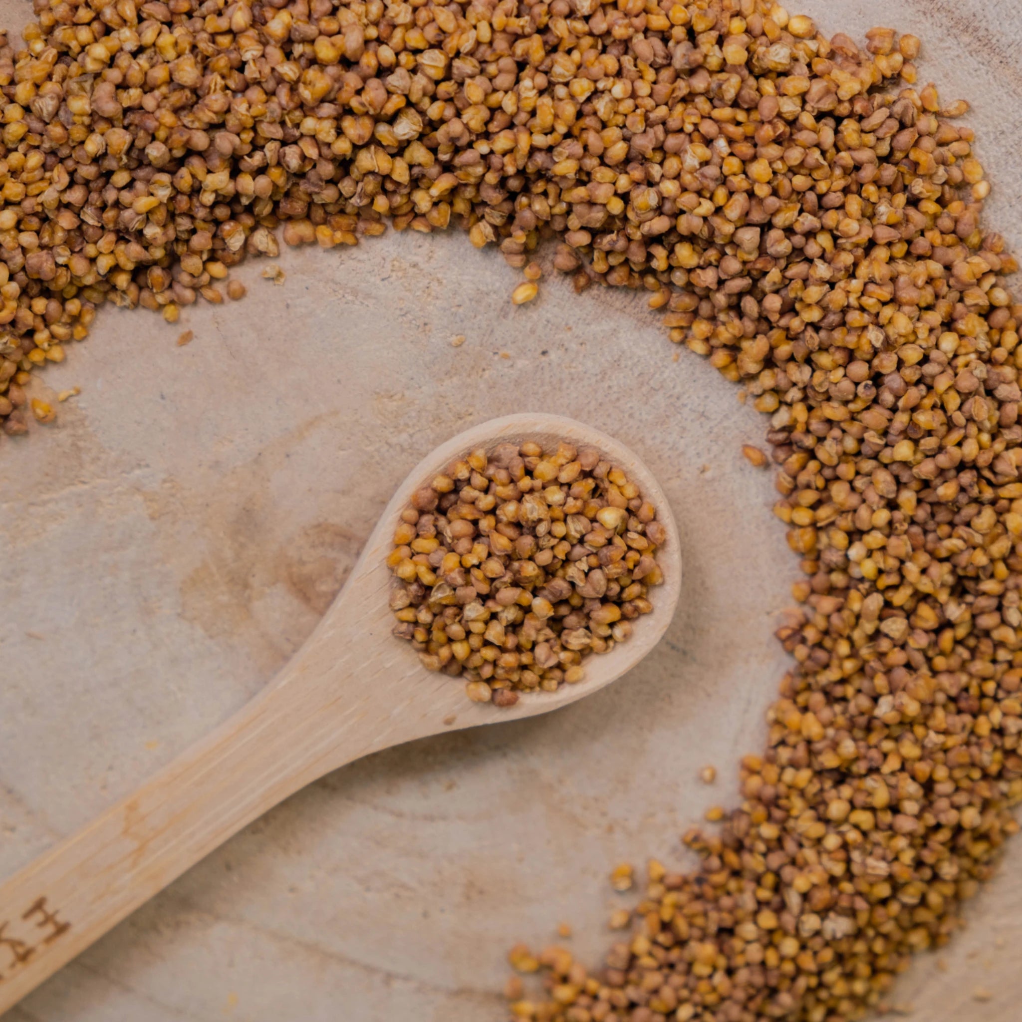 Close-up of roasted buckwheat grains on wooden spoon – caffeine-free Japanese Sobacha tea