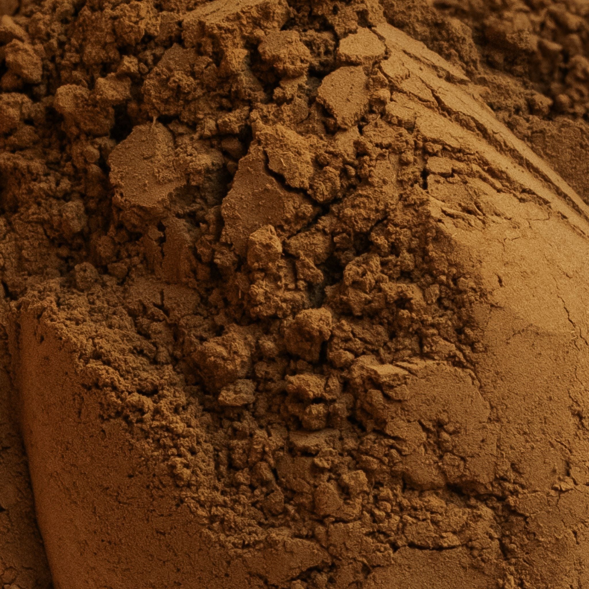 Close-up of Japanese Wakoucha tea powder – fine brown powdered Japanese black tea, ceremonial grade