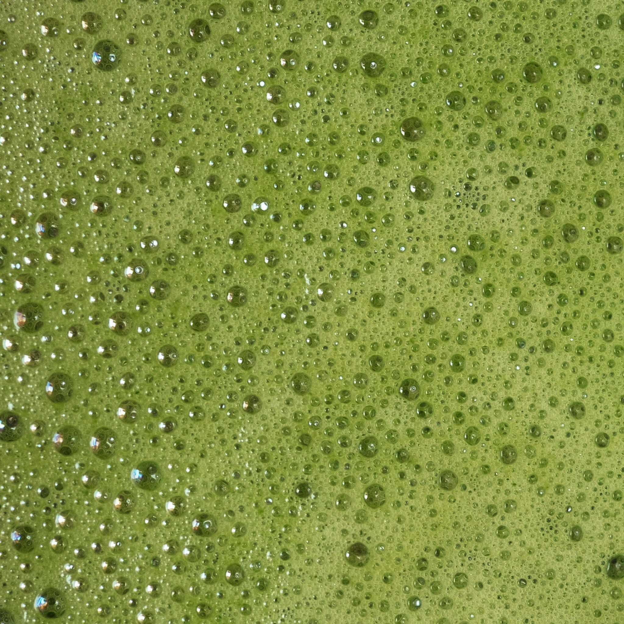 Close-up of frothy Japanese Genmaicha tea – fine bubbles and vibrant green color, ceremonial grade. Estradora