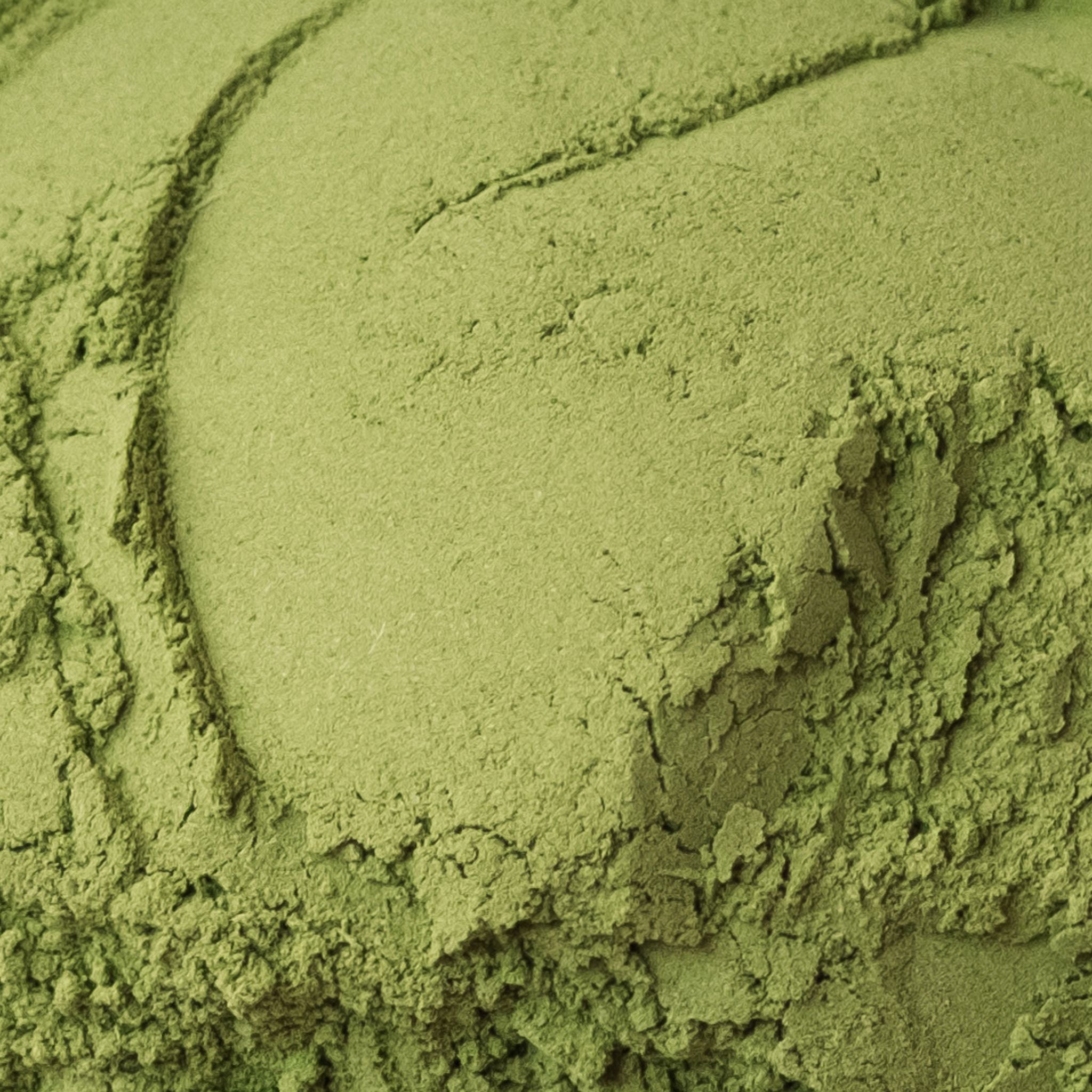 Japanese Genmaicha tea powder close-up – fine green powder made from sencha and roasted rice, organic ceremonial grade
