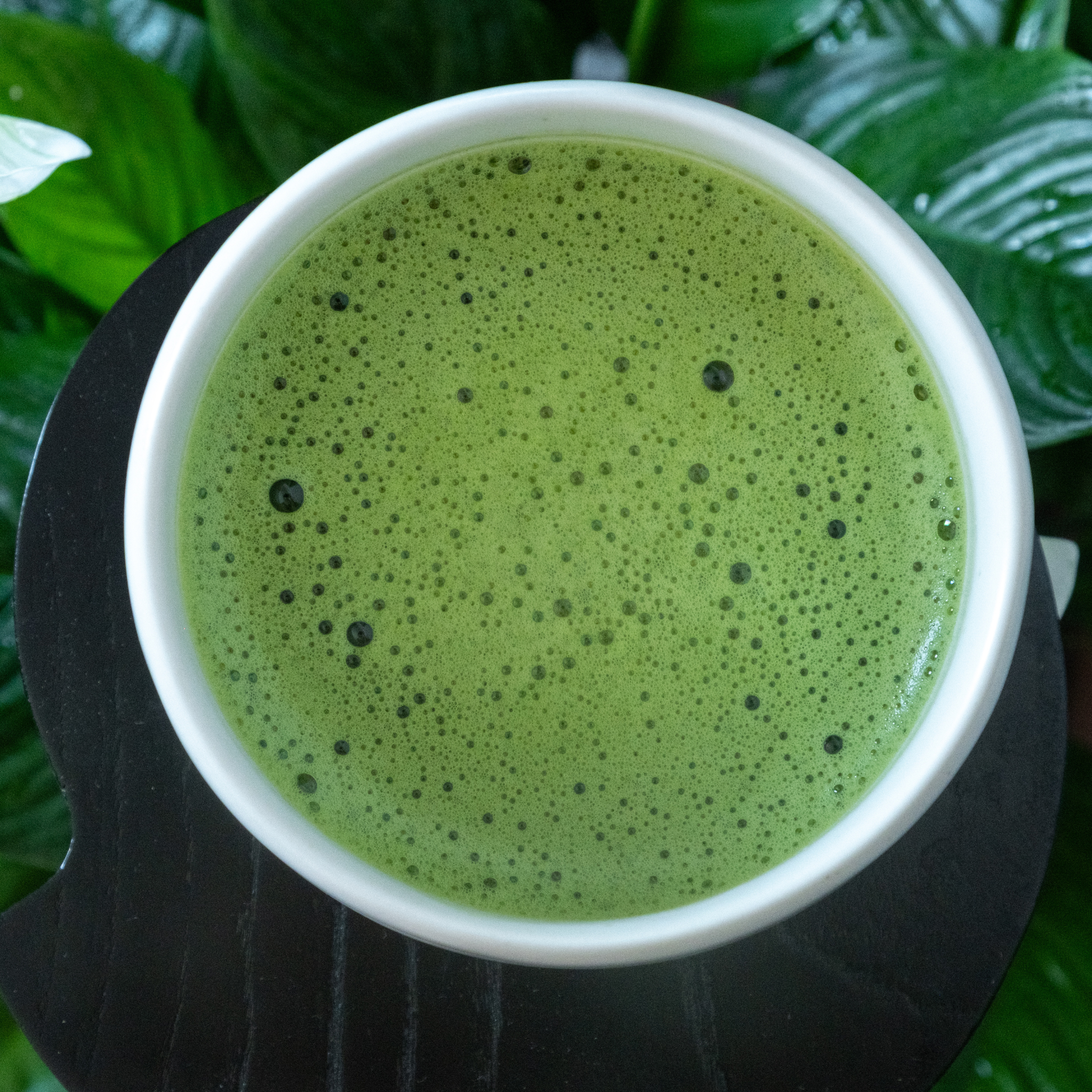 Overhead view of YUKIMI matcha, pale green foam with fine bubbles, in a white cup among green leaves.