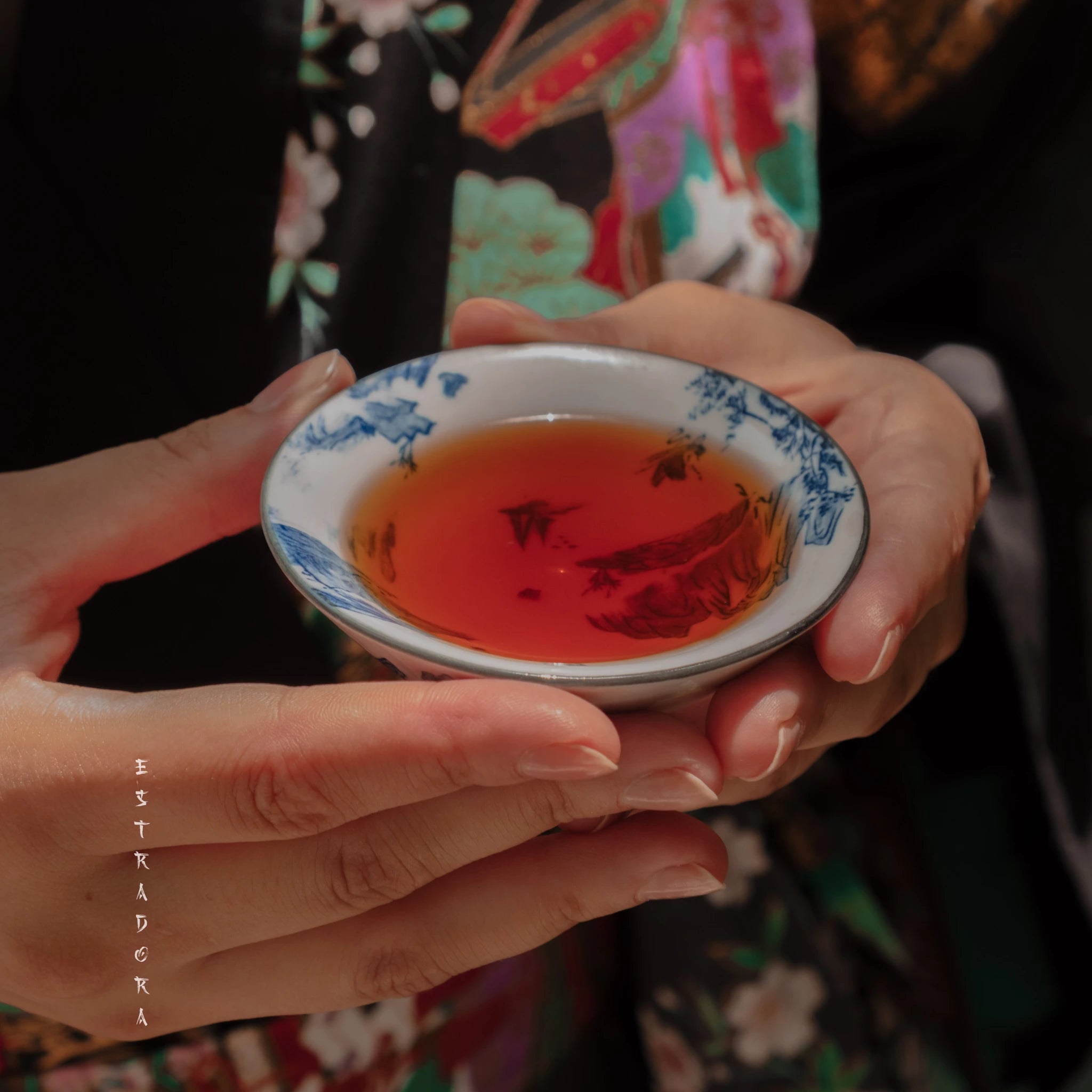 Close-up of brewed Wakoucha Japanese black tea in traditional cup | Estradora