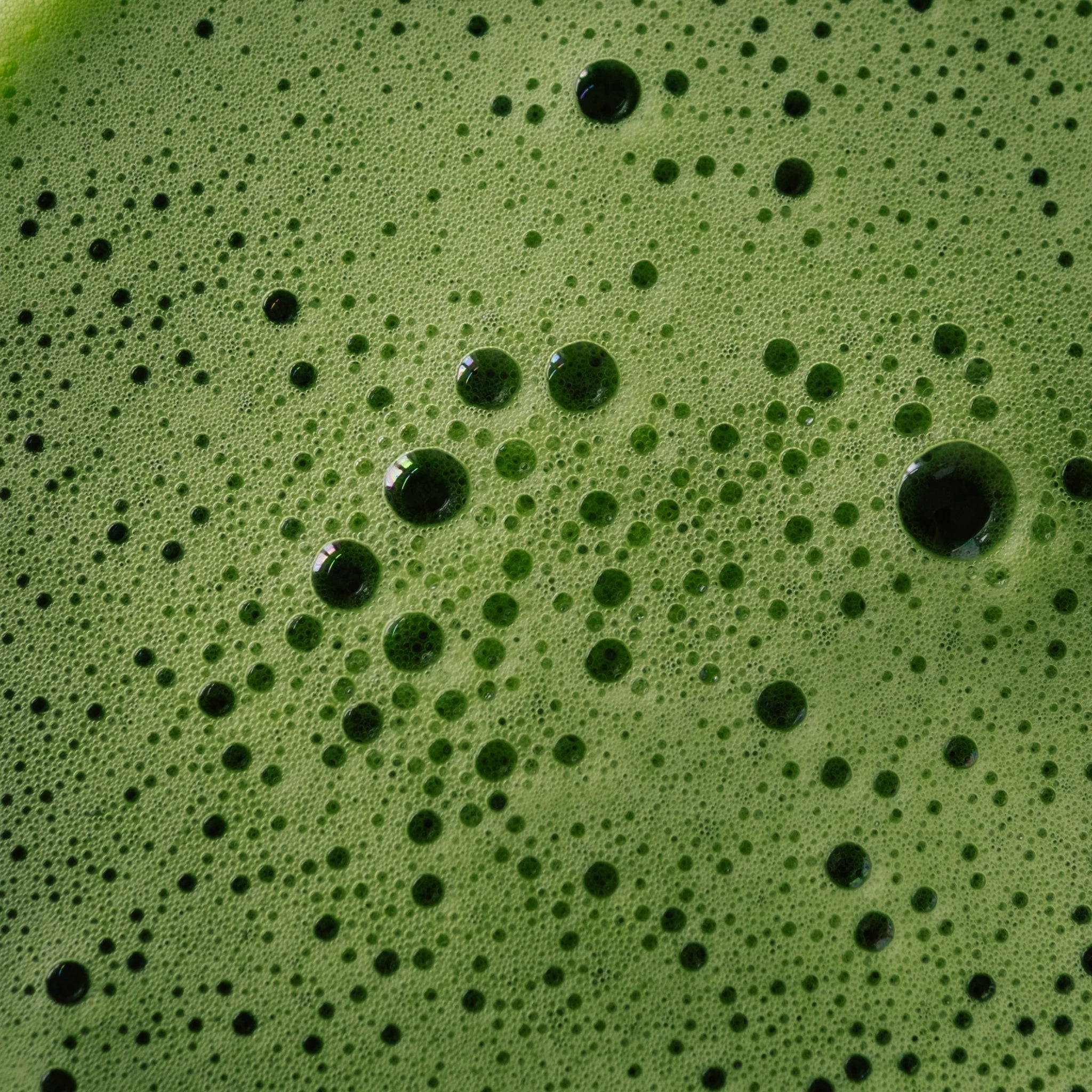 MATCHA NAMI | Close-up of frothy ceremonial matcha tea surface with vibrant green crema – Estradora