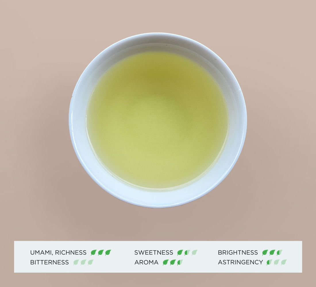 Organic Kabusecha Green Tea flavor profile