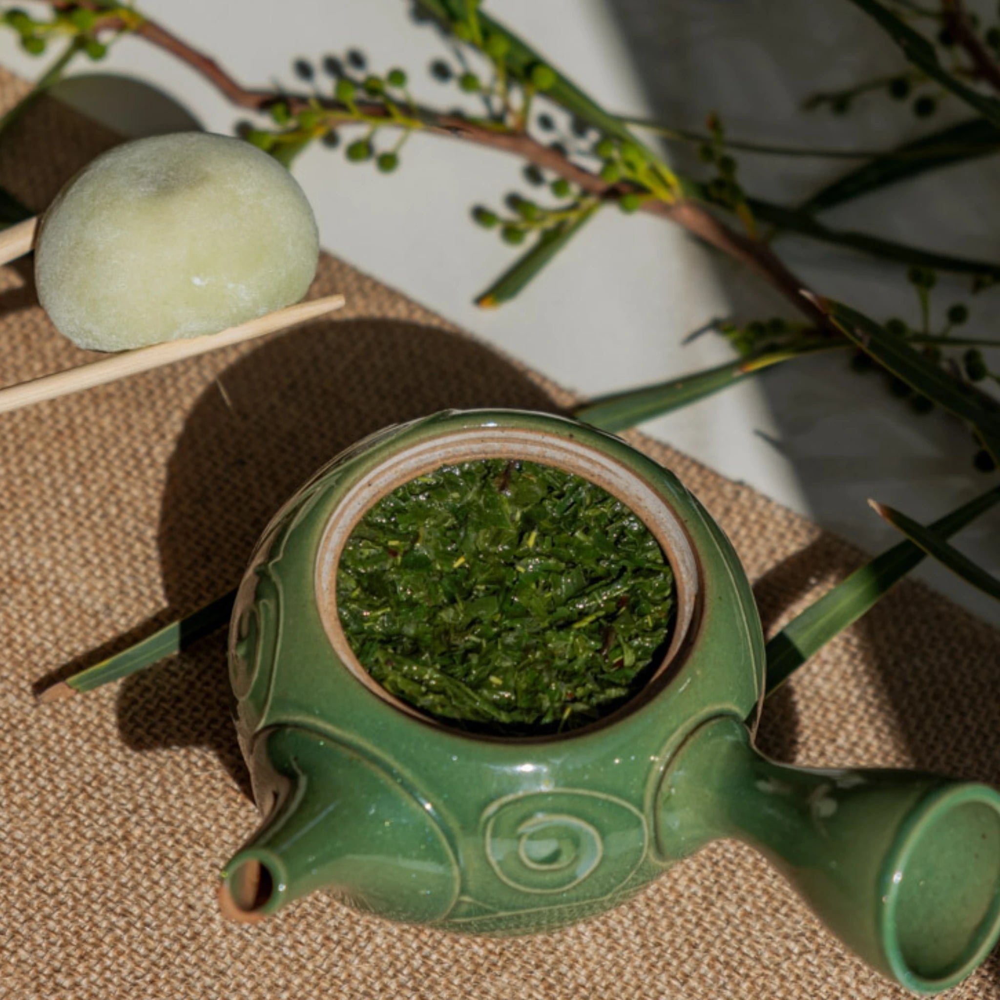 Brewed Japanese Gyokuro tea leaves in traditional green kyusu teapot, natural sunlight - Estradora