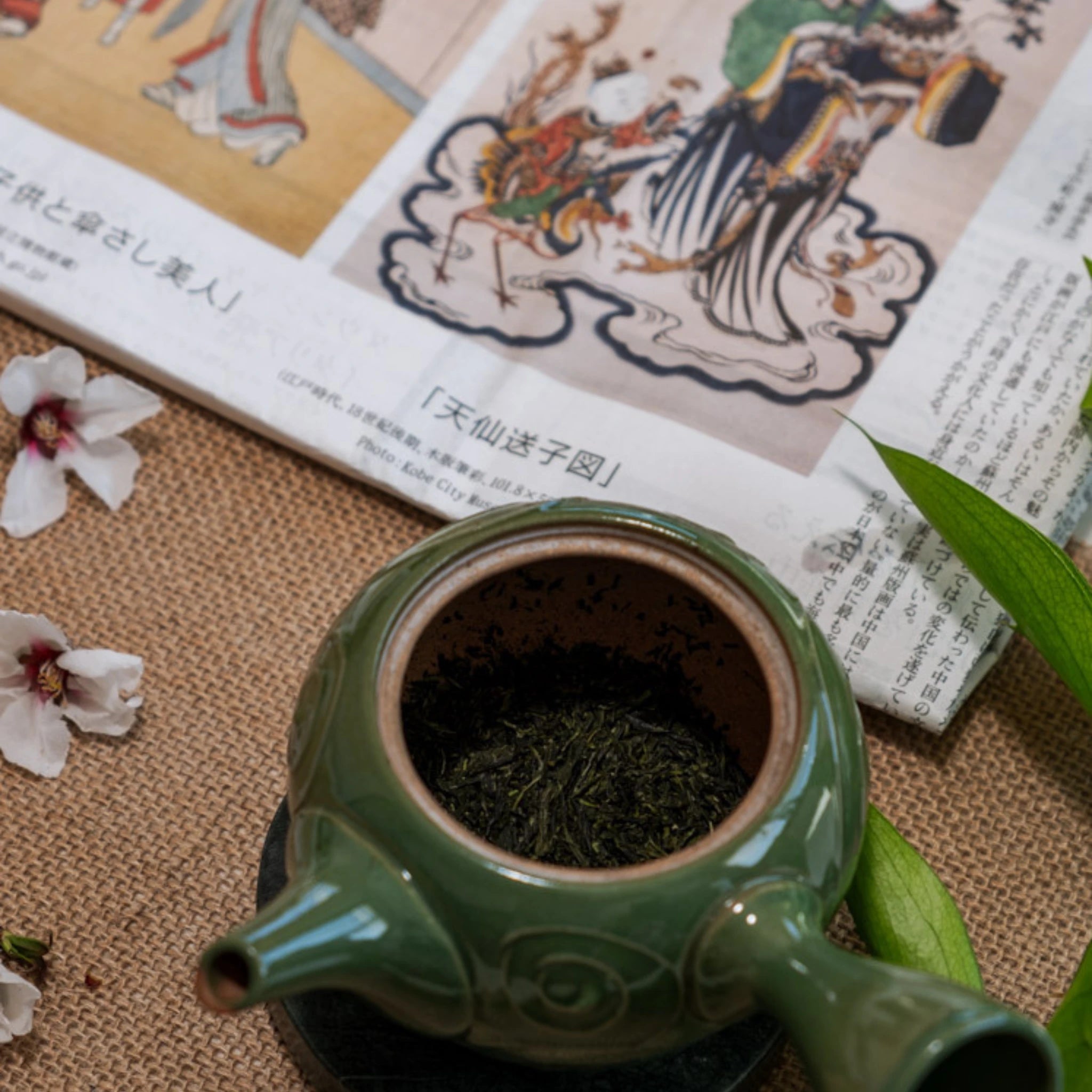 Loose leaf Japanese Gyokuro green tea in kyusu teapot - Estradora
