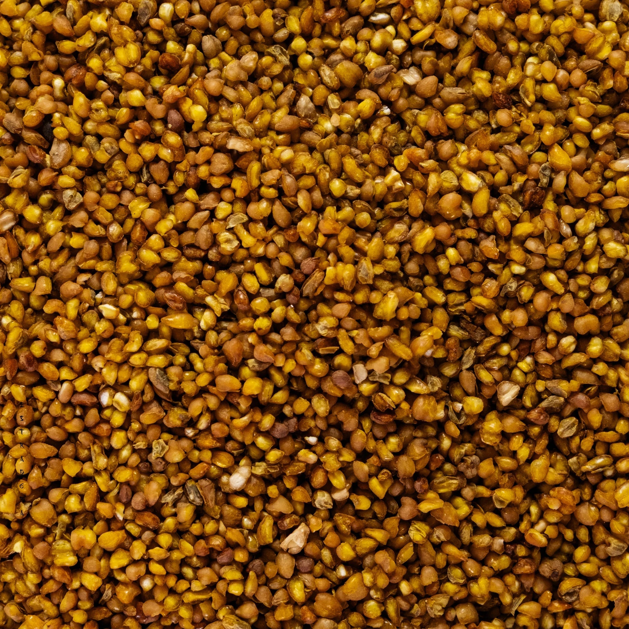 sobacha japanese herbal tea